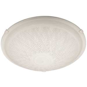 CF293 LARGE
