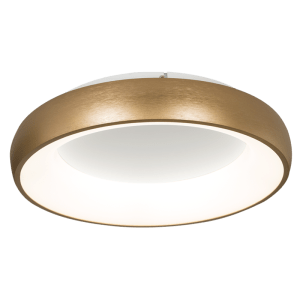 CF276 GOLD